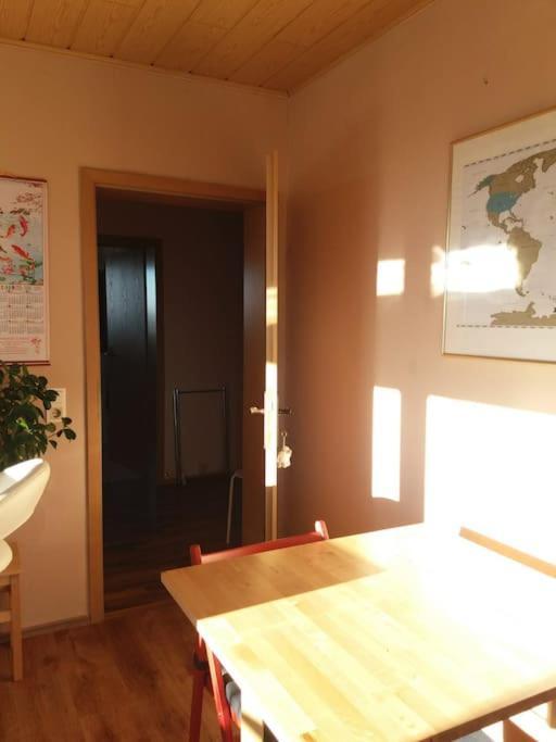 Gemuetliche, Helle Im Luftkurort Dansenberg Apartment Kaiserslautern