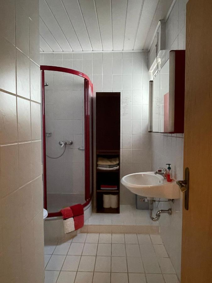 Apartment Gemuetliche, Helle Im Luftkurort Dansenberg Kaiserslautern